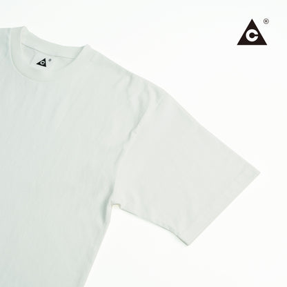 TMC / Two Seam SWT "2TONE" -Gray heather x Blue heather-