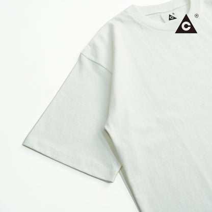 TMC / Two Seam SWT "2TONE" -Gray heather x Blue heather-